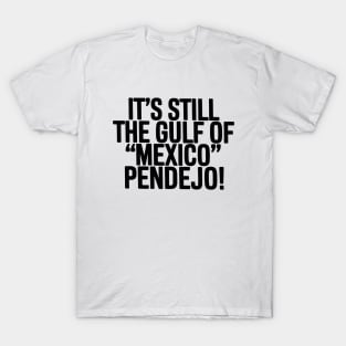 It's Still The Gulf Of Mexico Pendejo T-Shirt